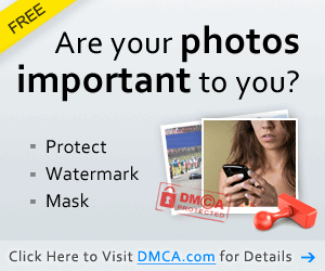 DMCA300